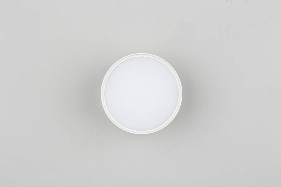 Накладной светильник Omnilux Abano OML-103309-06