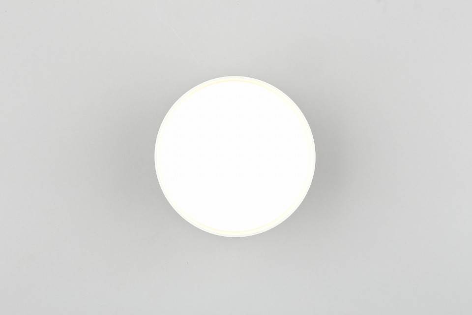 Накладной светильник Omnilux Abano OML-103309-12