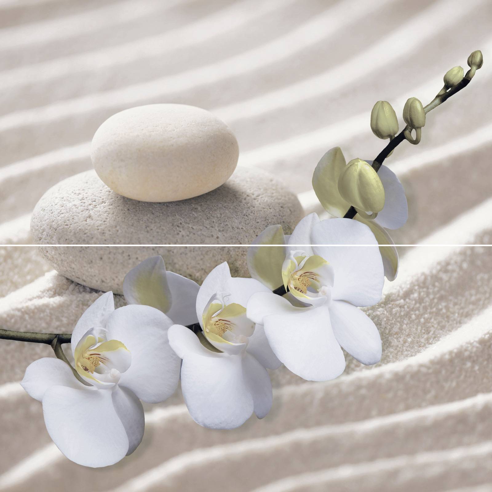 Панно из 2 плиток ALMA Ceramica Relax 498х500х7.5 мм PWU09RLX1