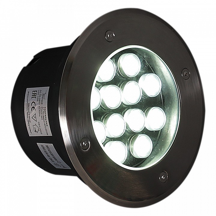 Встраиваемый в дорогу светильник  09403-0.7-001U LED12W WH