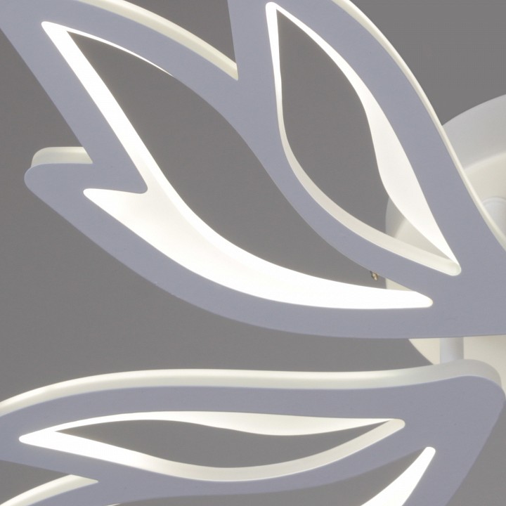 Потолочная люстра 09862-0.3-05 WH