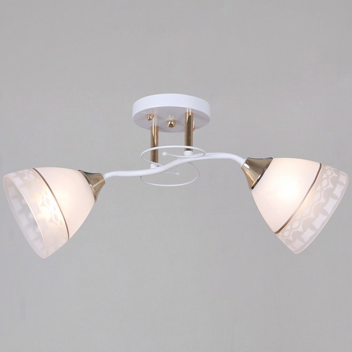 Светильник на штанге  11460-0.3-02 WH+FG