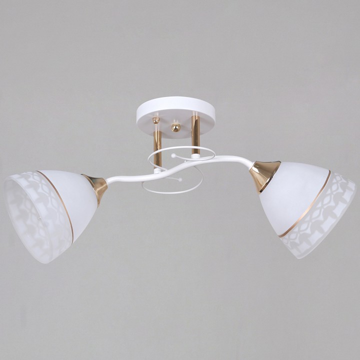 Светильник на штанге  11460-0.3-02 WH+FG