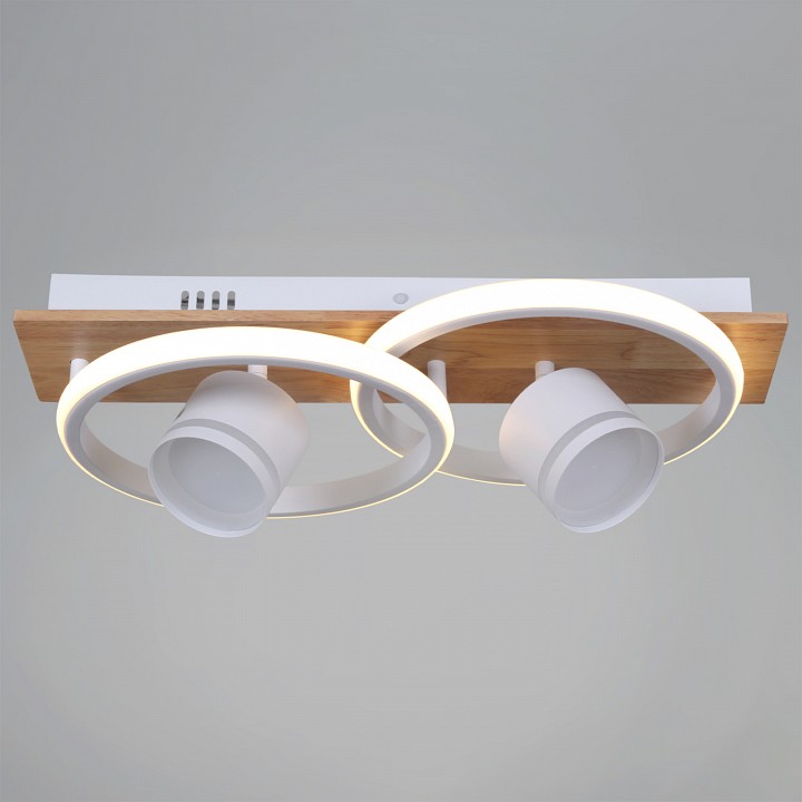 Накладной светильник 29560-0.3-2+2 WH+WOOD