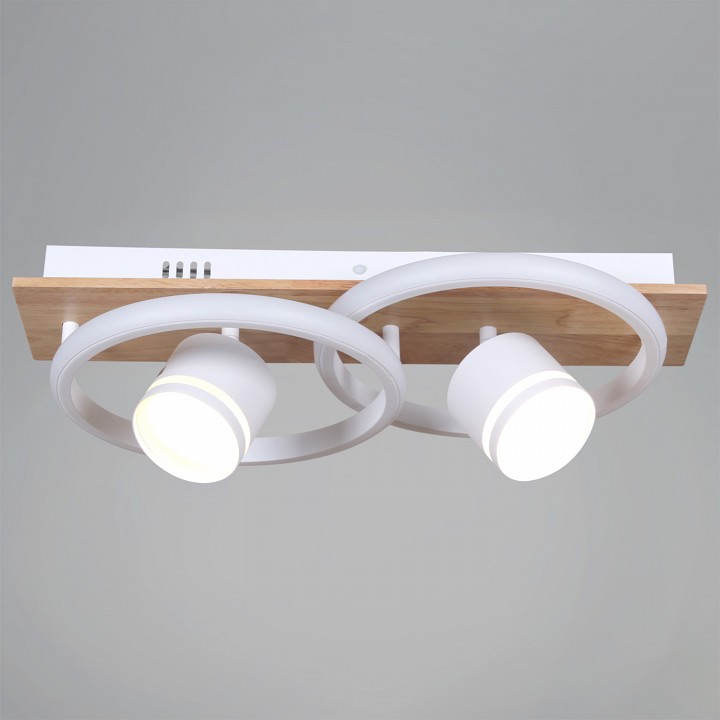 Накладной светильник 29560-0.3-2+2 WH+WOOD