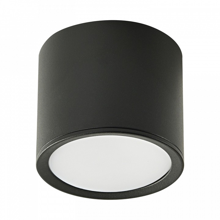 Накладной светильник  53005-9.5-001LD GX53 BK