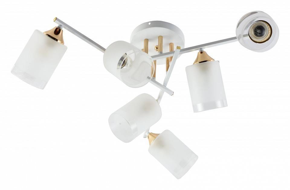 Люстра на штанге Rivoli Georgiana 5xE27 40 Вт Б0055879