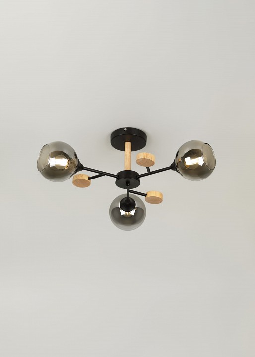 Люстра на штанге Rivoli Elouisa Б0068419