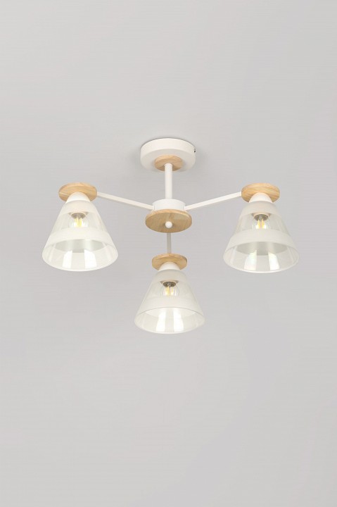 Люстра на штанге Rivoli Theothila Б0068434