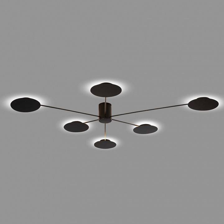 Потолочная люстра ST Luce Tondo SL6006.402.06