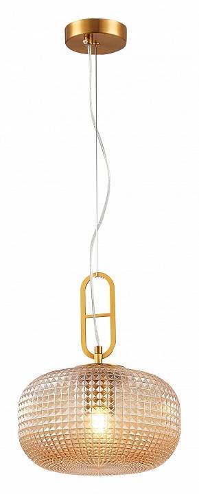 Подвесной светильник Simple Story 1051 1 лампа 1051-1PL