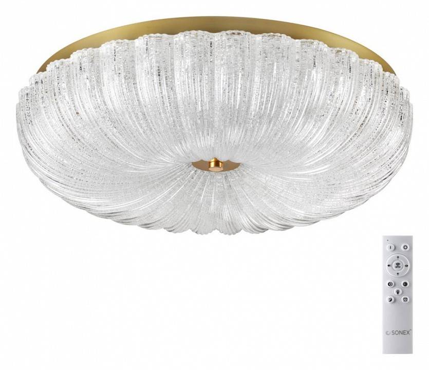 Накладной светильник Sonex Tesoro 7719/60L