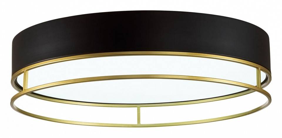 Накладной светильник Sonex Lofty 7723/100L