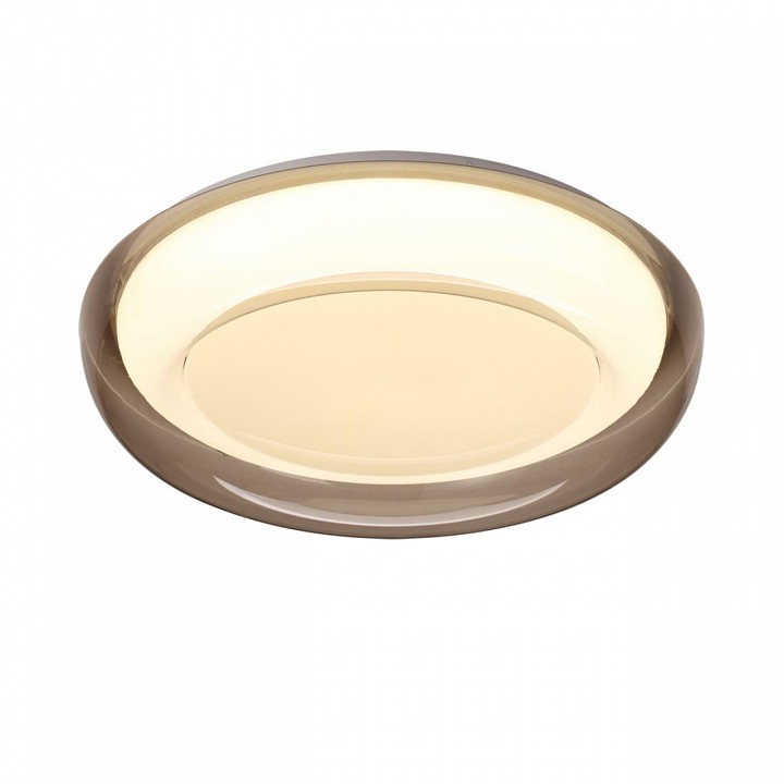 Накладной светильник Sonex PORTMAN 7777/ELN