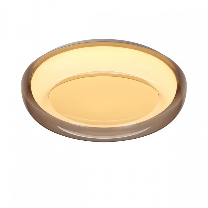 Накладной светильник Sonex PORTMAN 7777/ELN