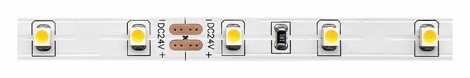 Светодиодная лента ST-Luce ST016 4.8 Вт/м 12V IP20 3000K ST016.305.20