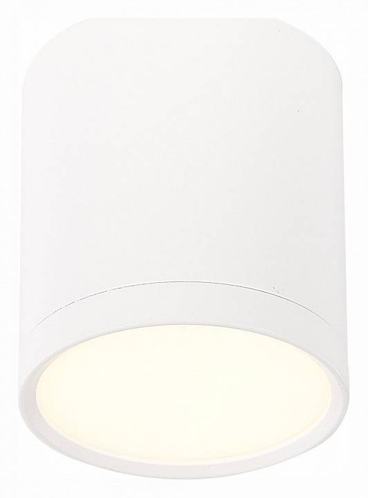 Накладной светильник ST-Luce Rene ST113.532.05