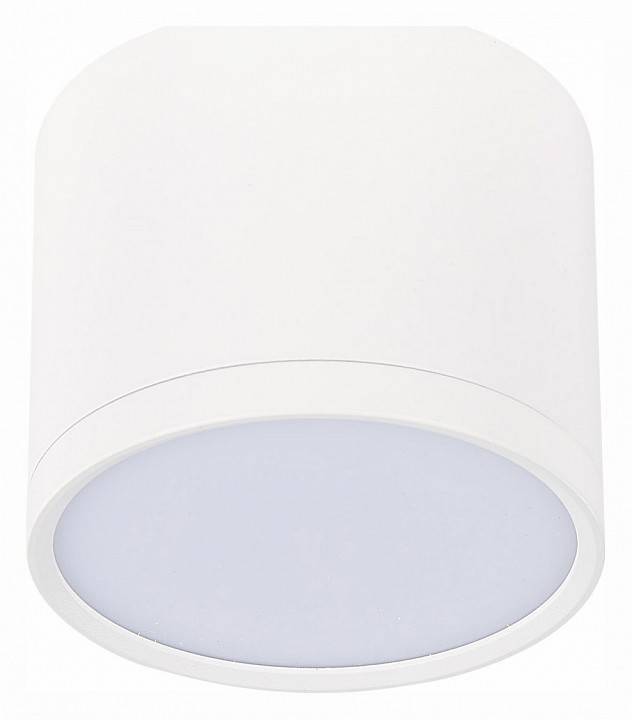 Накладной светильник ST-Luce Rene ST113.532.09