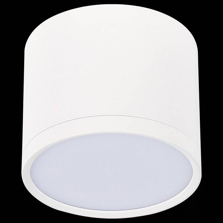 Накладной светильник ST-Luce Rene ST113.532.09