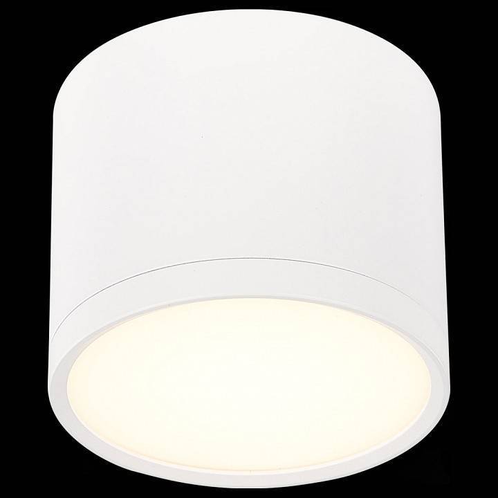 Накладной светильник ST-Luce Rene ST113.532.09