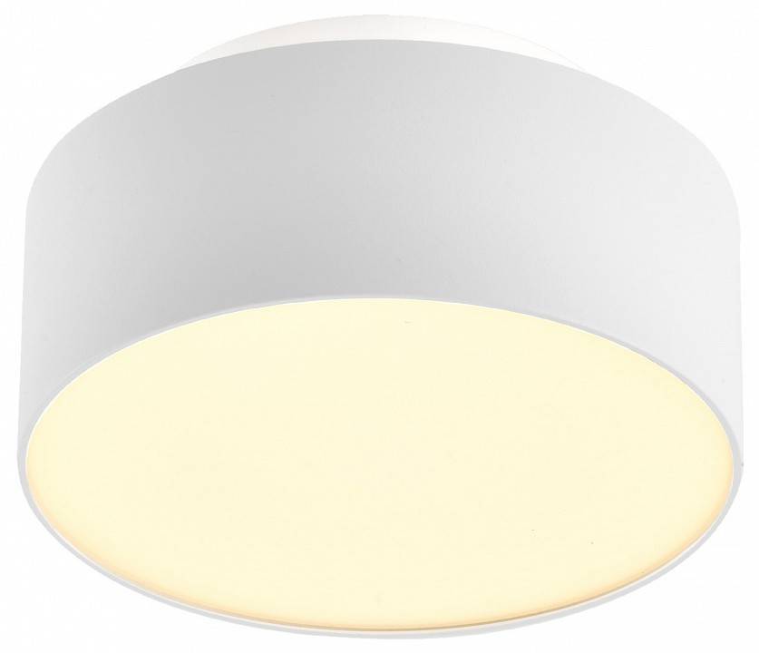 Накладной светильник ST-Luce ST166 ST166.532.17