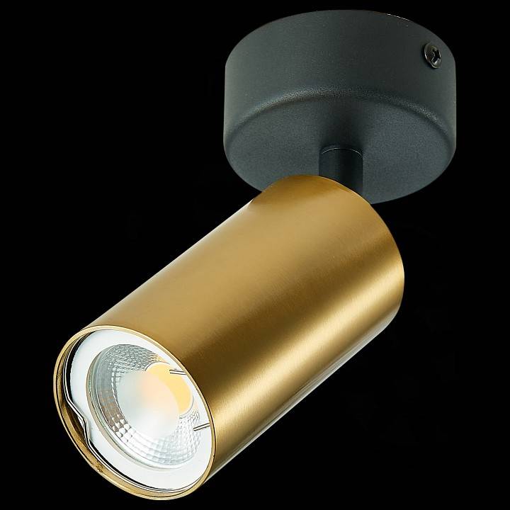 Спот ST-Luce ST303 1xGU10 ST303.202.01