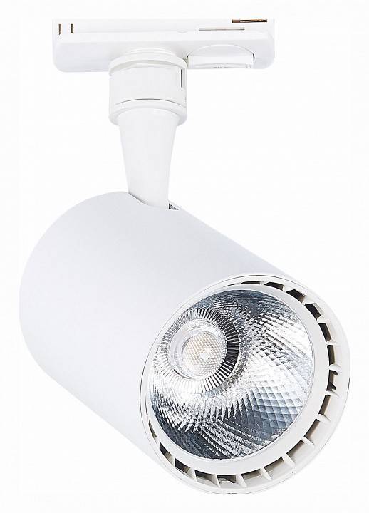 Светильник на штанге ST-Luce Cami ST351.536.20.24