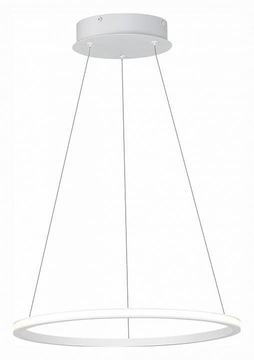 Подвесной светильник ST Luce ST604 OUT LED 54 Вт ST604.543.22