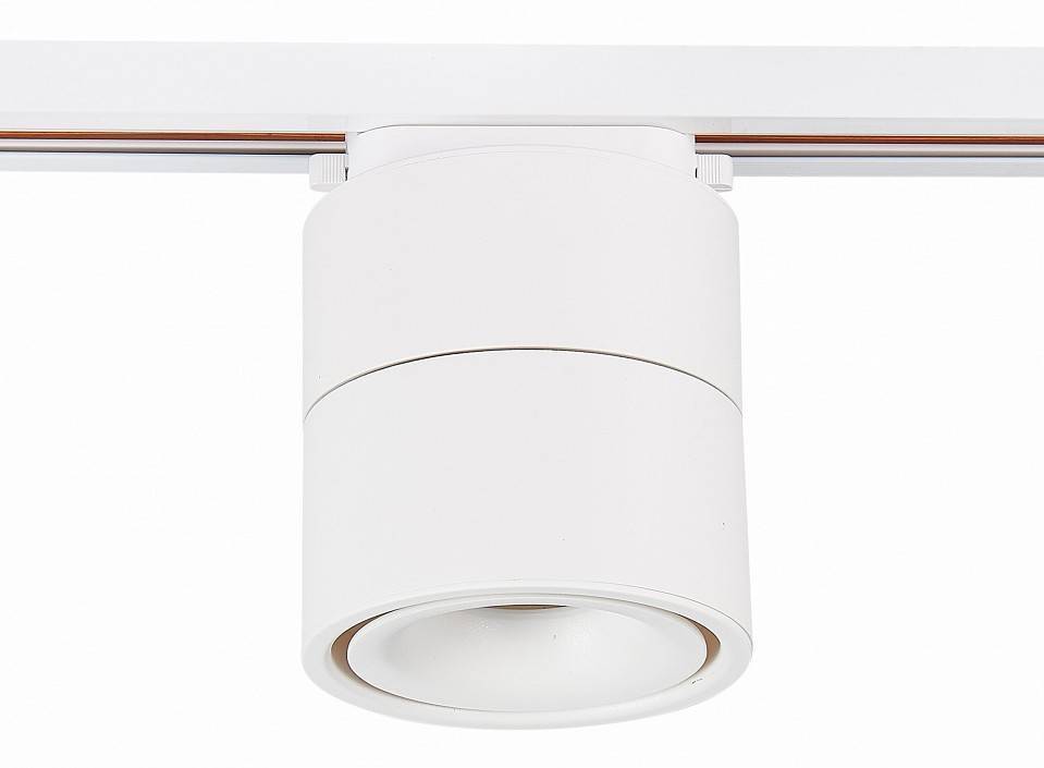 Светильник на штанге ST-Luce ST652 ST652.546.12