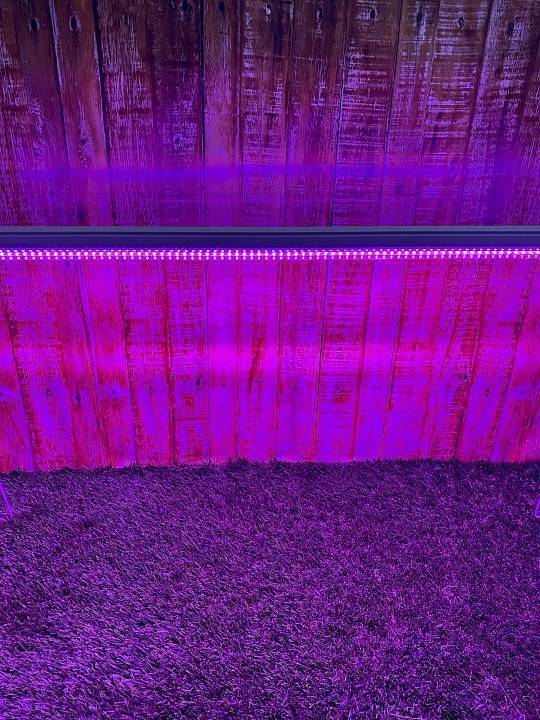 Светильник для растений Uniel ULI-P21 UL-00008921