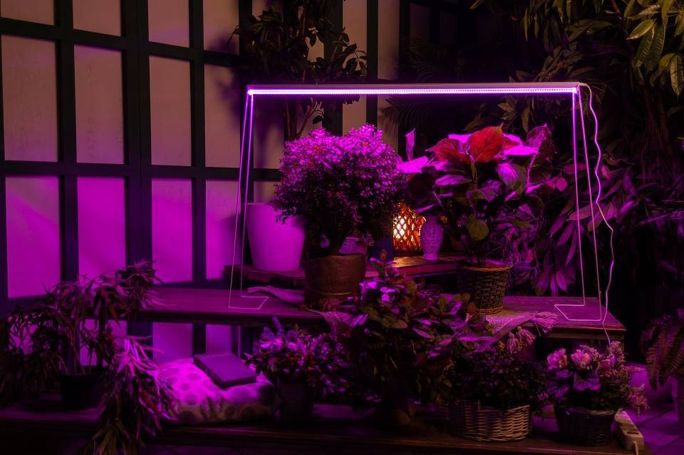 Светильник для растений Uniel ULI-P21 UL-00008921