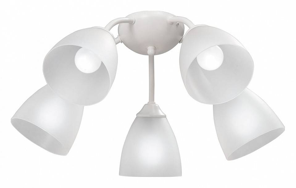 Потолочная люстра Vitaluce V3737 5 ламп V3737-0/5PL