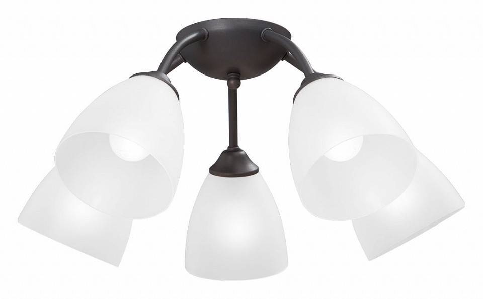 Потолочная люстра Vitaluce V3737 5 ламп V3737-2/5PL