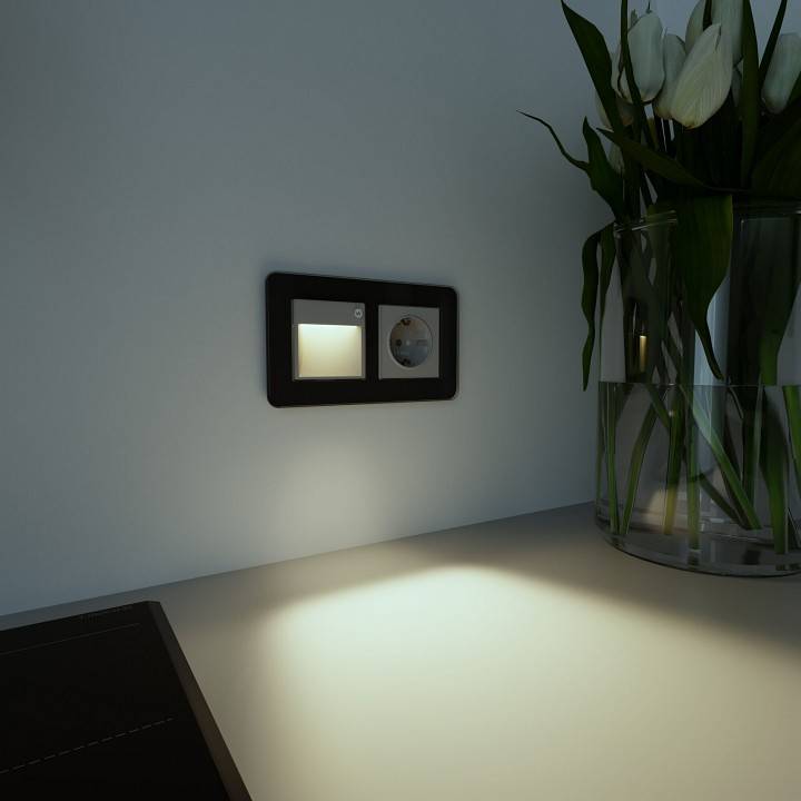 Заглушка для поста с подсветкой Werkel W115 серебряный W1154606