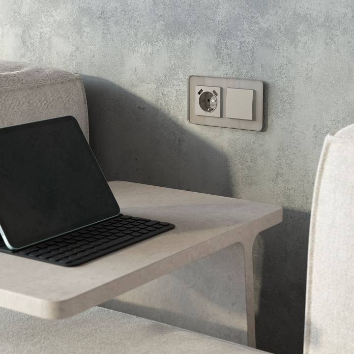 Накладка для розетки с заземлением и 2хUSB Werkel дымчатый W1279504