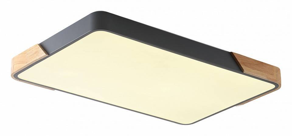 Накладной светильник Zortes ALBERRO ZRS.01277.60