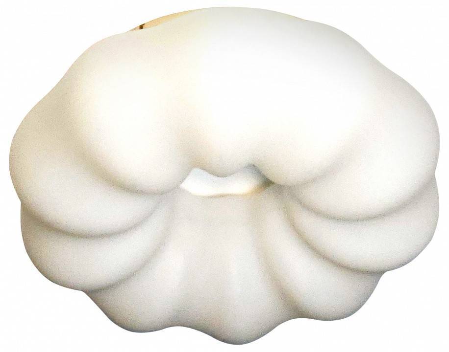 Накладной светильник Zortes SOFT ZRS.1118.2