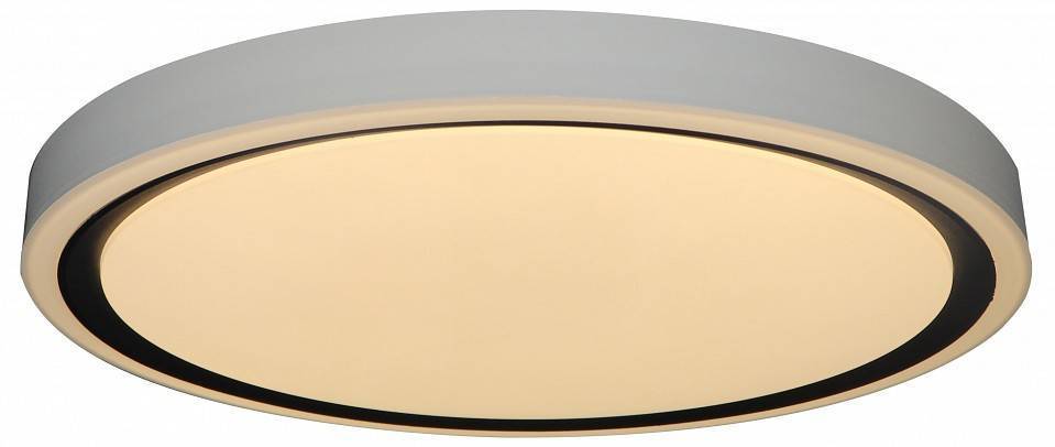 Накладной светильник Zortes BELLA ZRS.1201.04