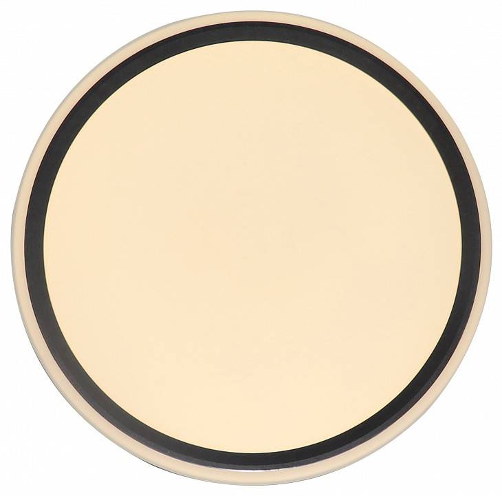 Накладной светильник Zortes BELLA ZRS.1201.07