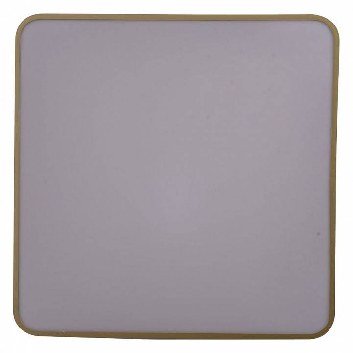 Накладной светильник Zortes Gabby ZRS.1215.04