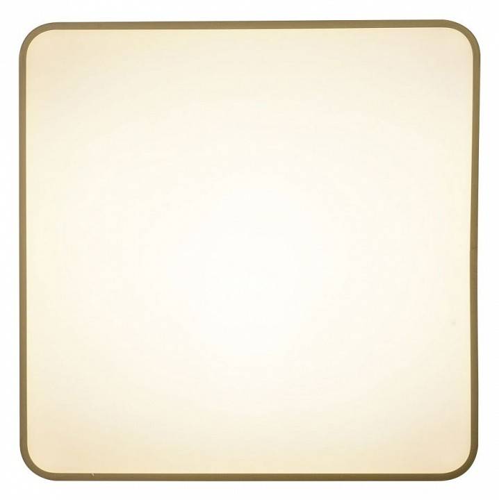 Накладной светильник Zortes Gabby ZRS.1215.04