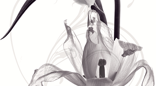 Панно Ceradim Pulsar A 25x45 см КПН16PulsarA