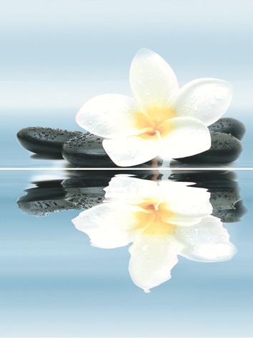 Панно Дельта Керамика Dream P2-2D185 30х40 см (из 2-х плит) P2-2D185