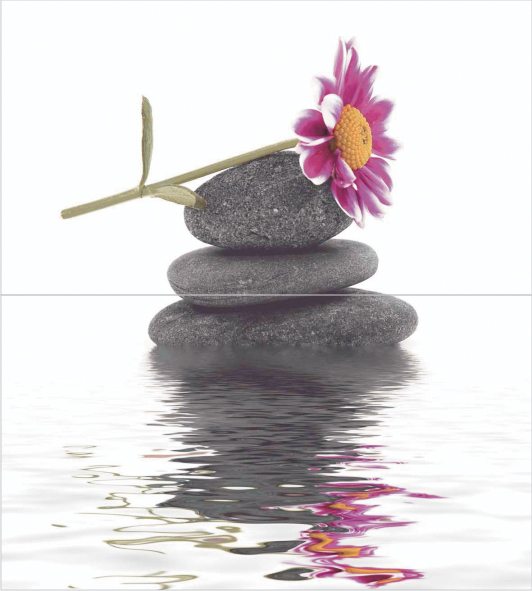 Панно Ceradim Stones из 2-х шт 50х45 см КПН16Stones