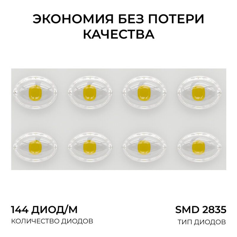 Настенно-потолочный прожектор Apeyron Electrics  05-61