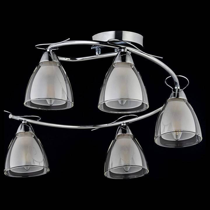 Потолочная люстра Arti Lampadari Paola E 1.1.5 N