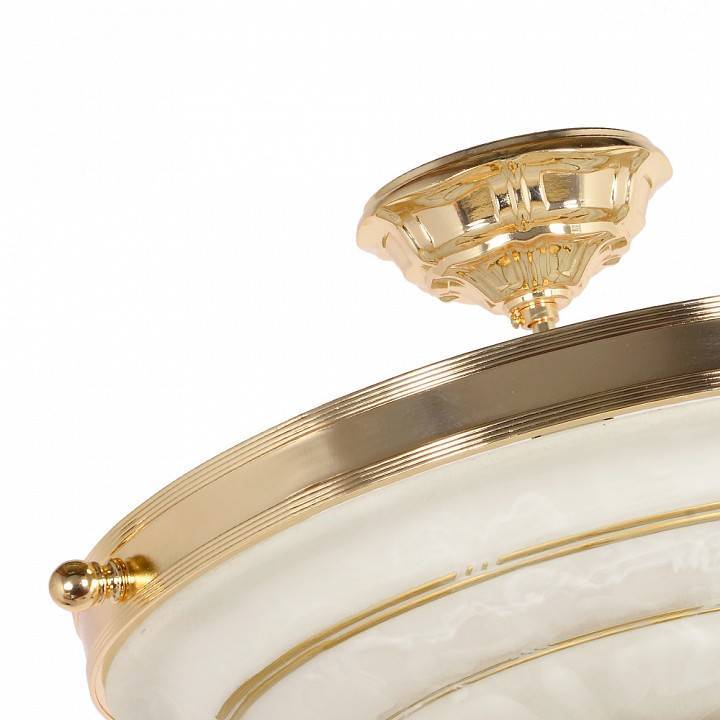 Люстра на штанге Arti Lampadari Pavia E 1.13.P40 G