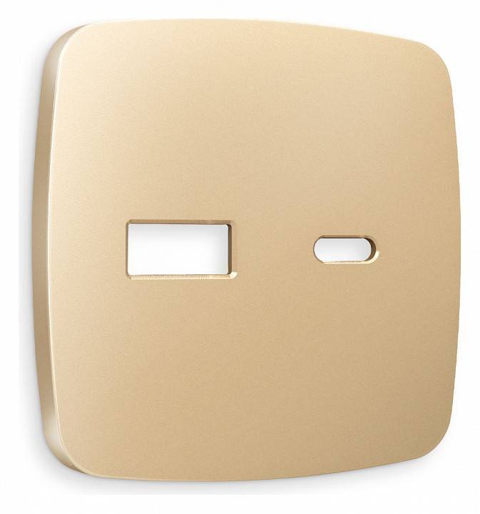 Накладка для розетки type A и C Ambrella Volt Quant OP6110