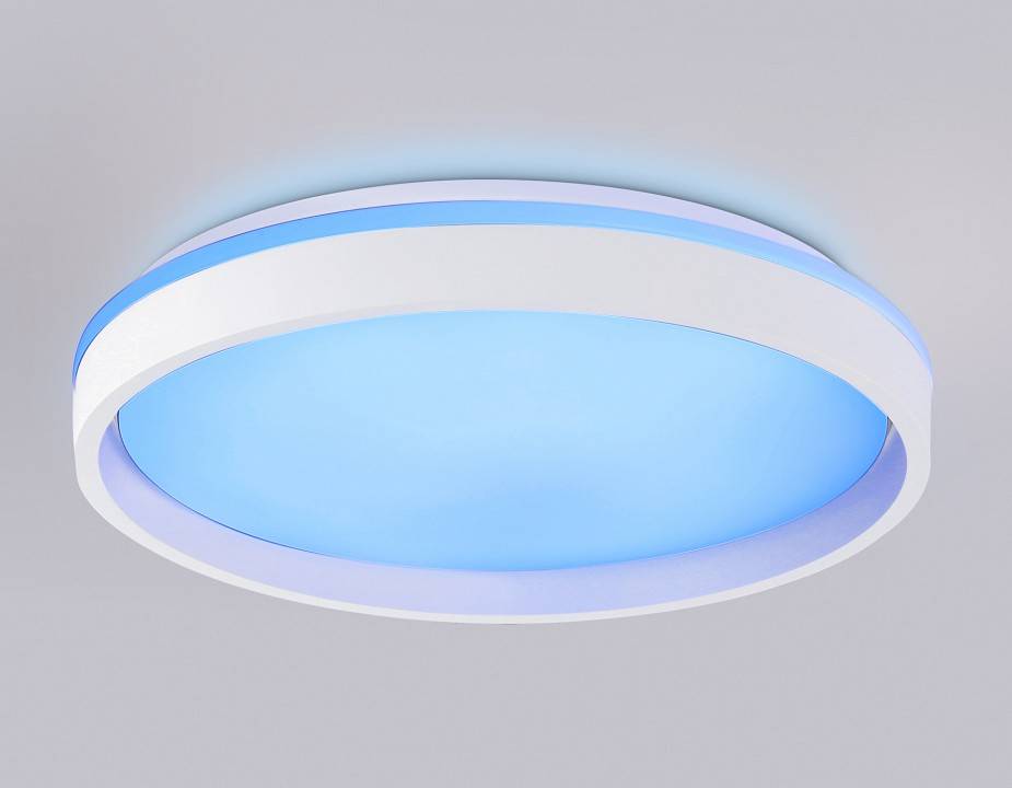 Накладной светильник Ambrella Light FZ FZ607