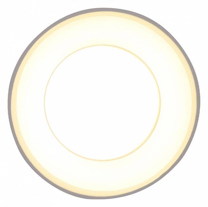 Накладной светильник Ambrella Light TN TN3411